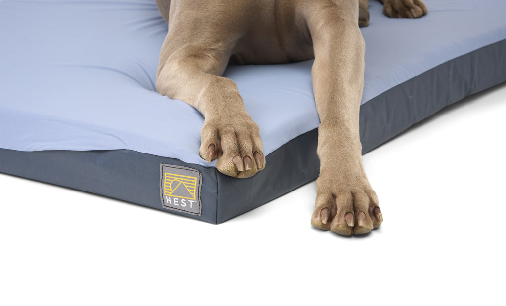 HEST Dog Bed-Goodwynn'sGoodwynn's