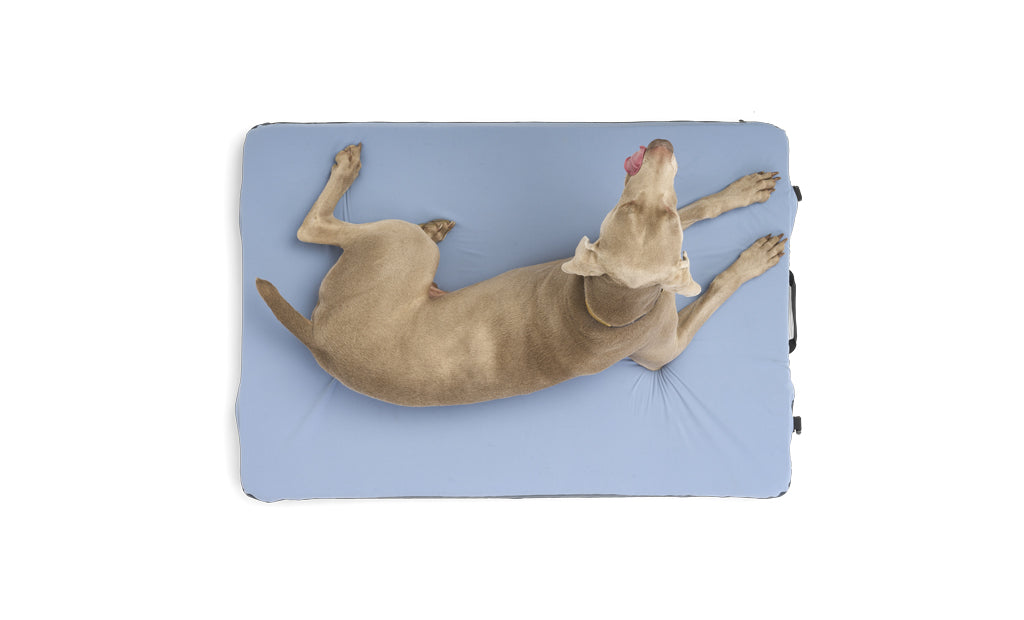 HEST Dog Bed-Goodwynn'sGoodwynn's