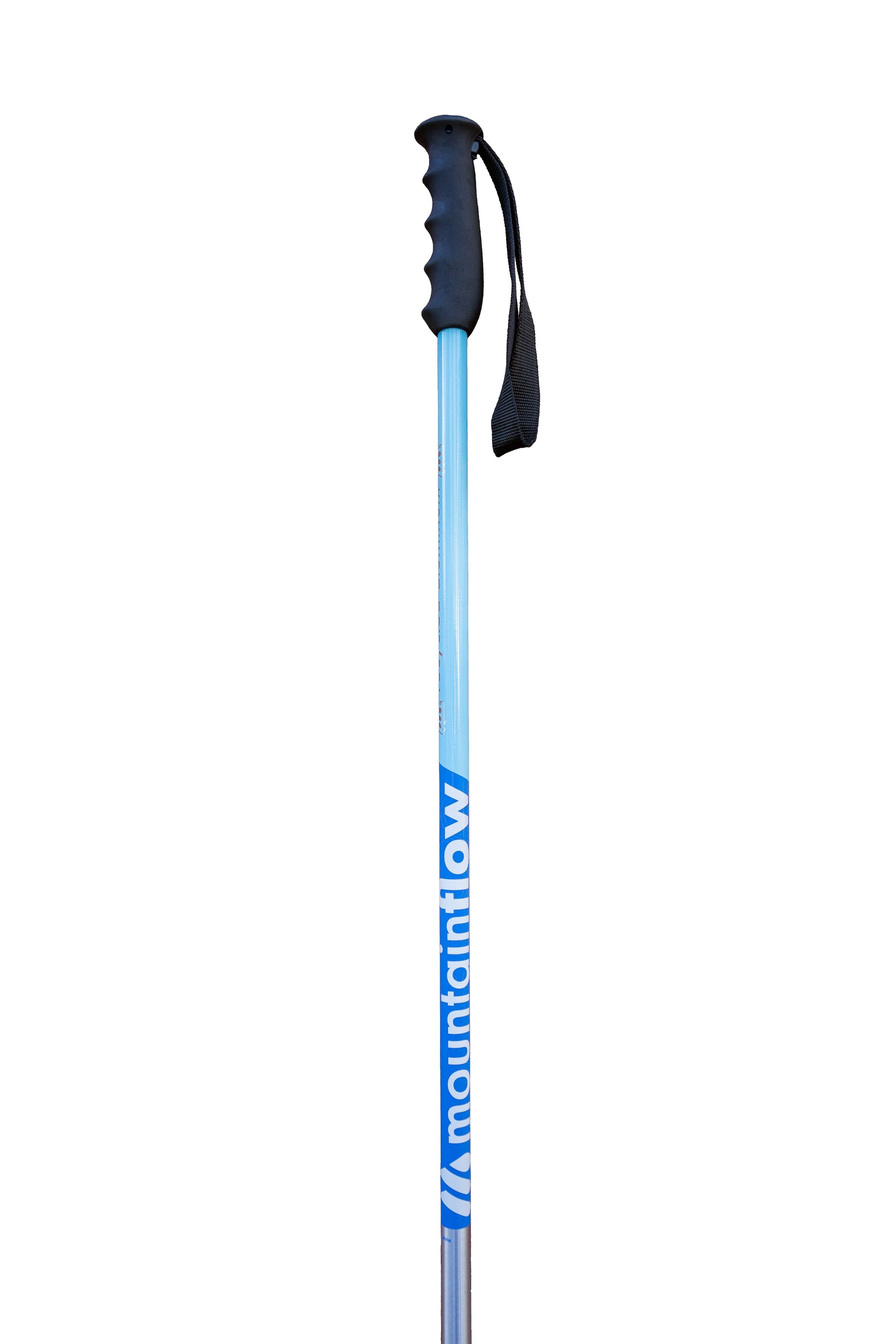 Ski Pole - RE.7+-Goodwynn'sGoodwynn's