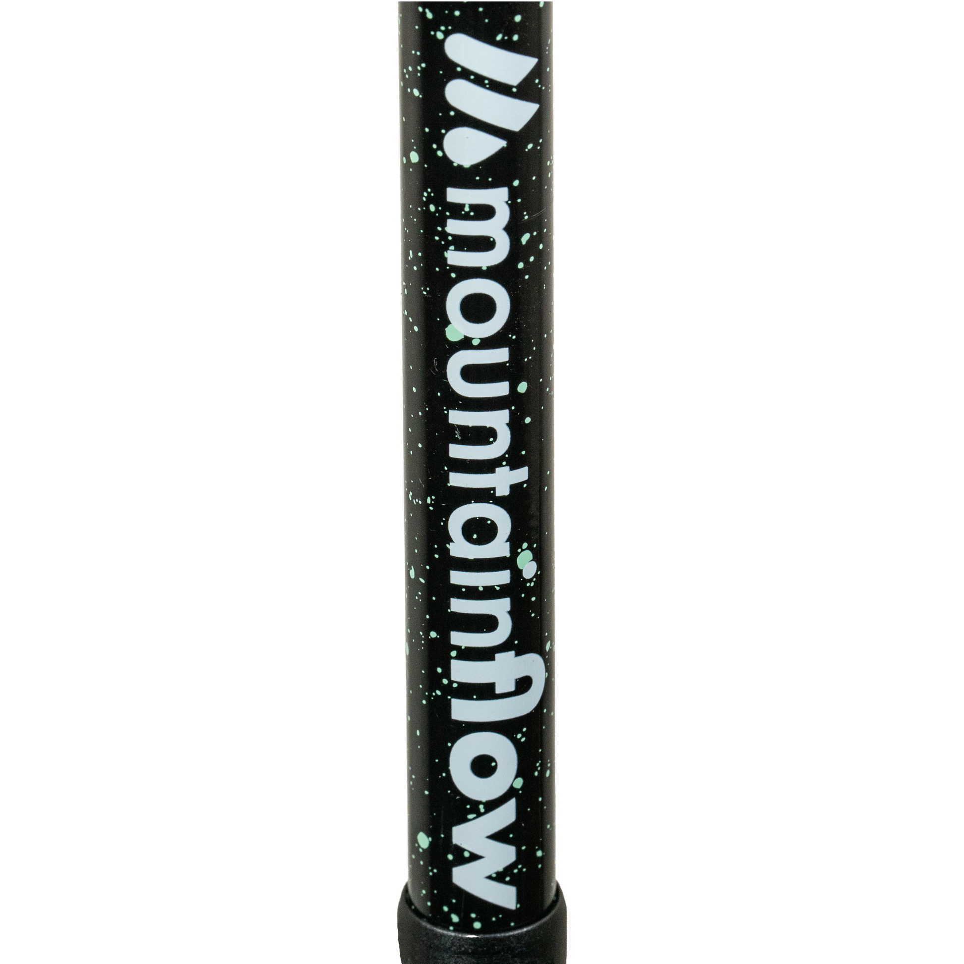 Ski Pole - ecoTOUR-Goodwynn'sGoodwynn's