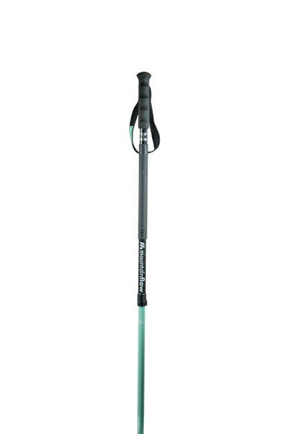 Ski Pole - ecoTOUR