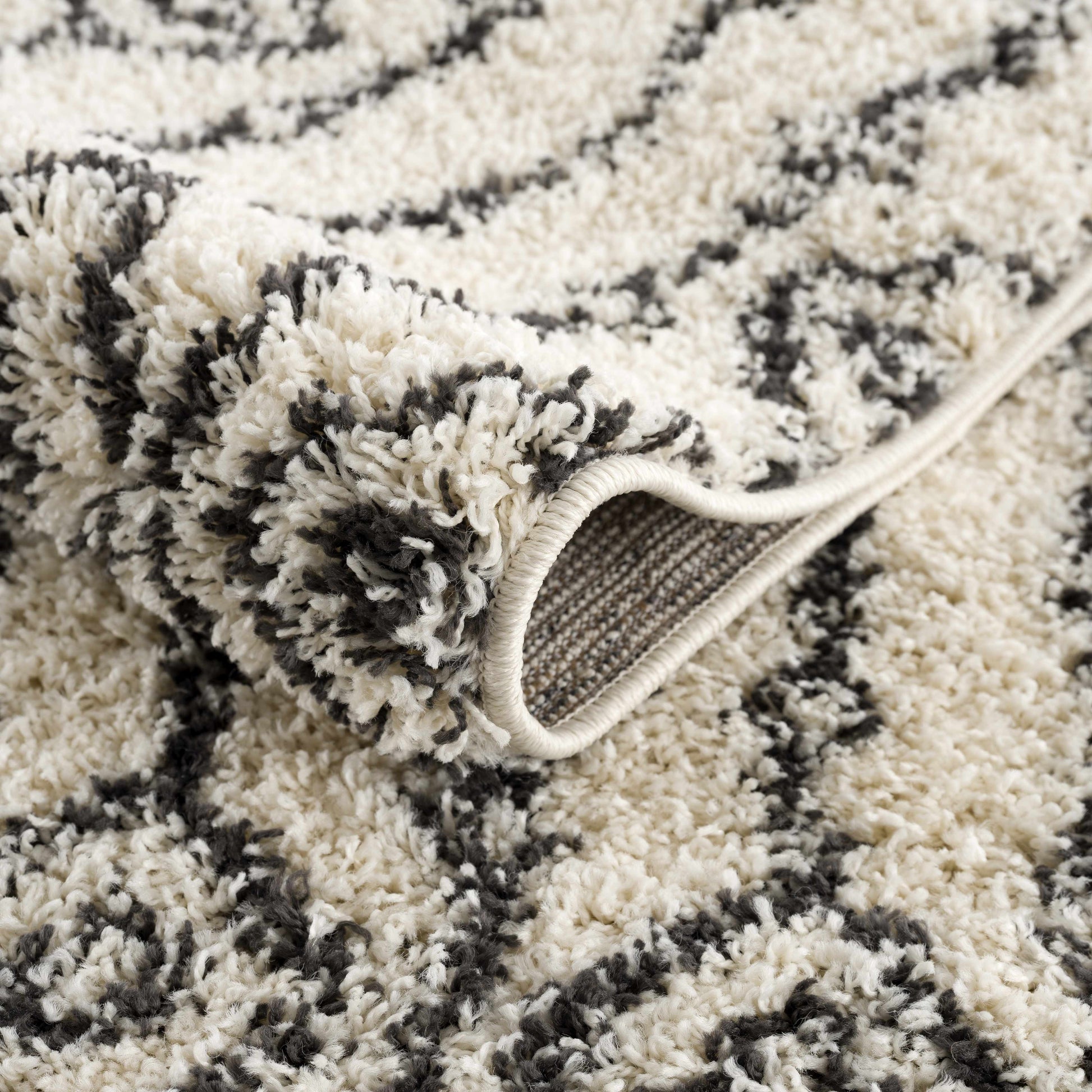 Bayanga Plush Area Rug-Goodwynn'sGoodwynn's