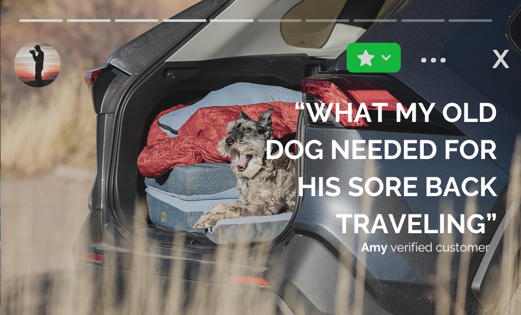 HEST Dog Bed-Goodwynn'sGoodwynn's