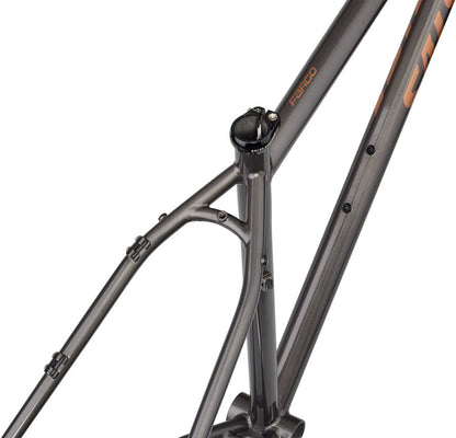 Salsa Fargo Frameset - 29" Steel Graphite X-Large