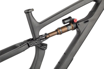 Salsa Blackthorn Carbon Frame - Carbon Raw Small