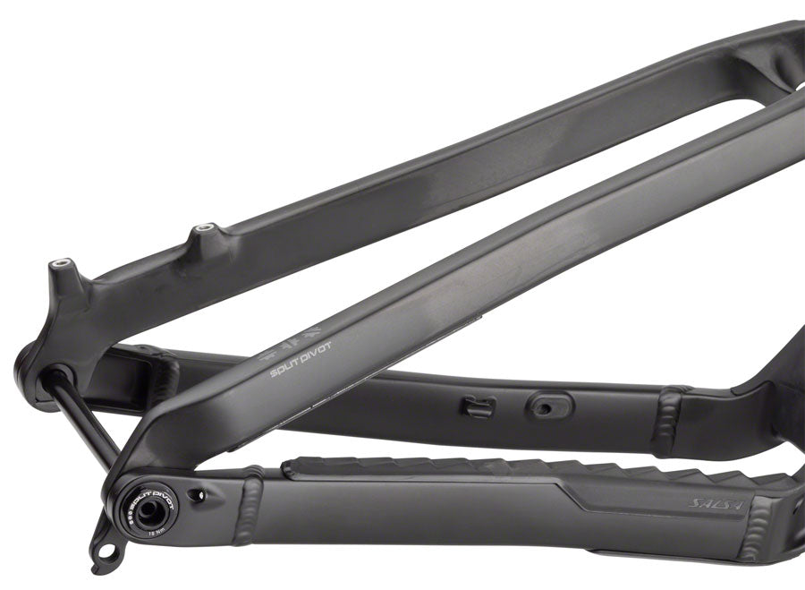 Salsa Blackthorn Carbon Frame - Carbon Raw Large-Goodwynn'sGoodwynn's