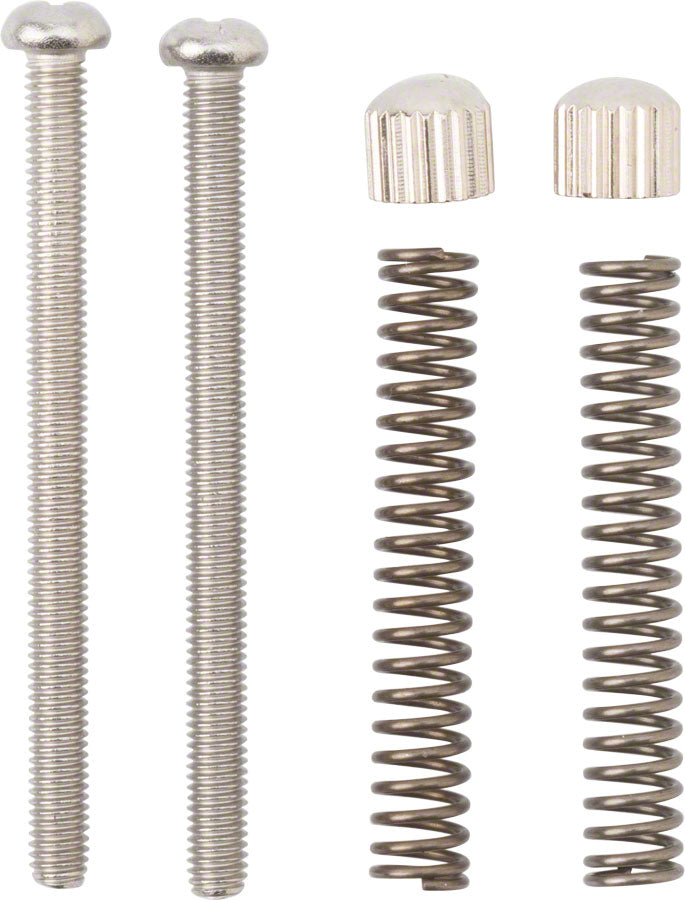 Surly Cross Check Frame Replacement Dropout Screws Pair-Goodwynn'sGoodwynn's