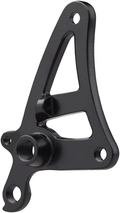 Salsa Alternator 1.0 Plate Right - Thru-Axle M12x1.5 Thread Pitch Derailleur Hanger Fender Mount