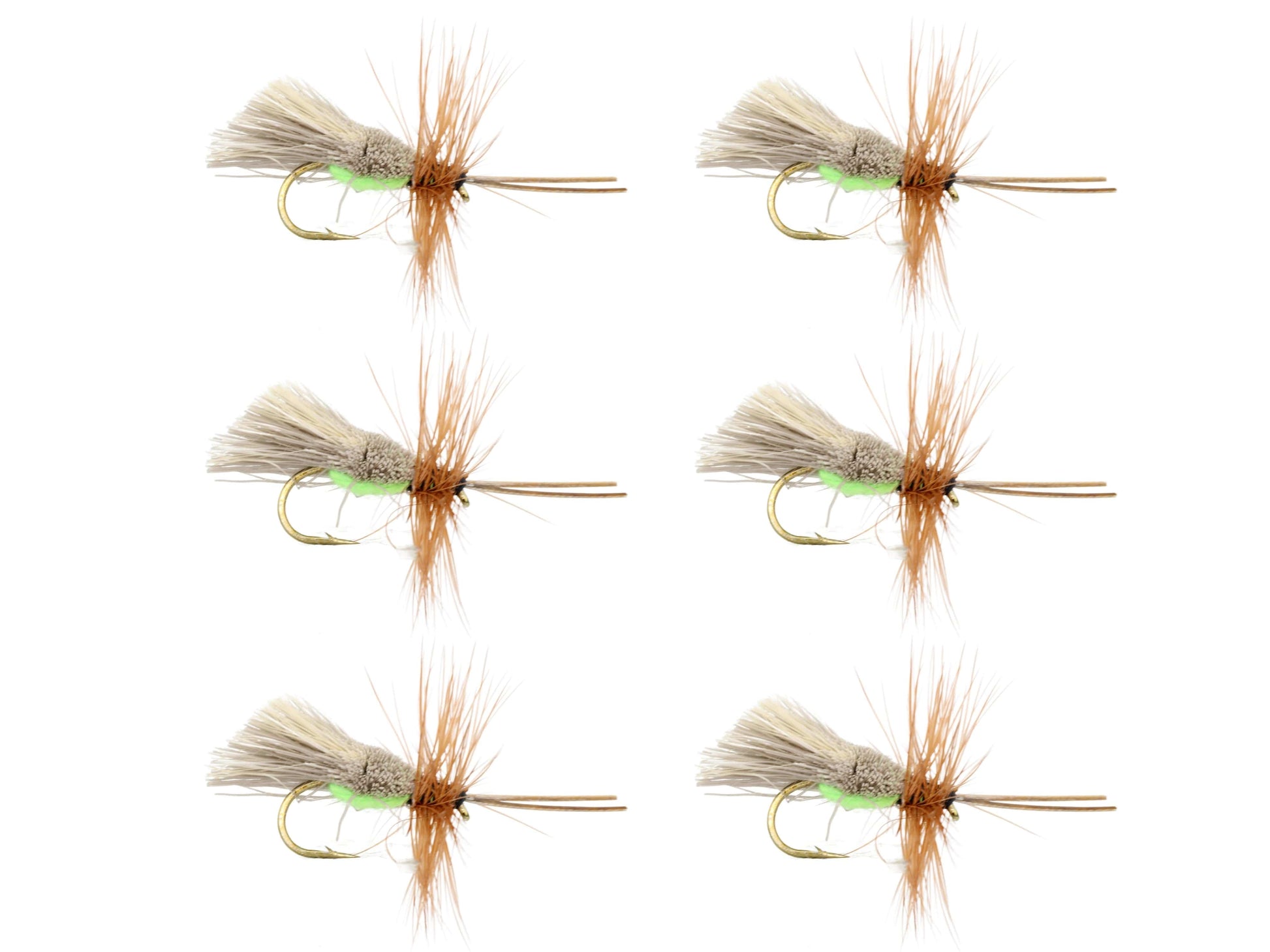 Wild Water Fly Fishing Goddard Caddis with Chartreuse Underside, Size 12, Qty. 6-Goodwynn'sGoodwynn's