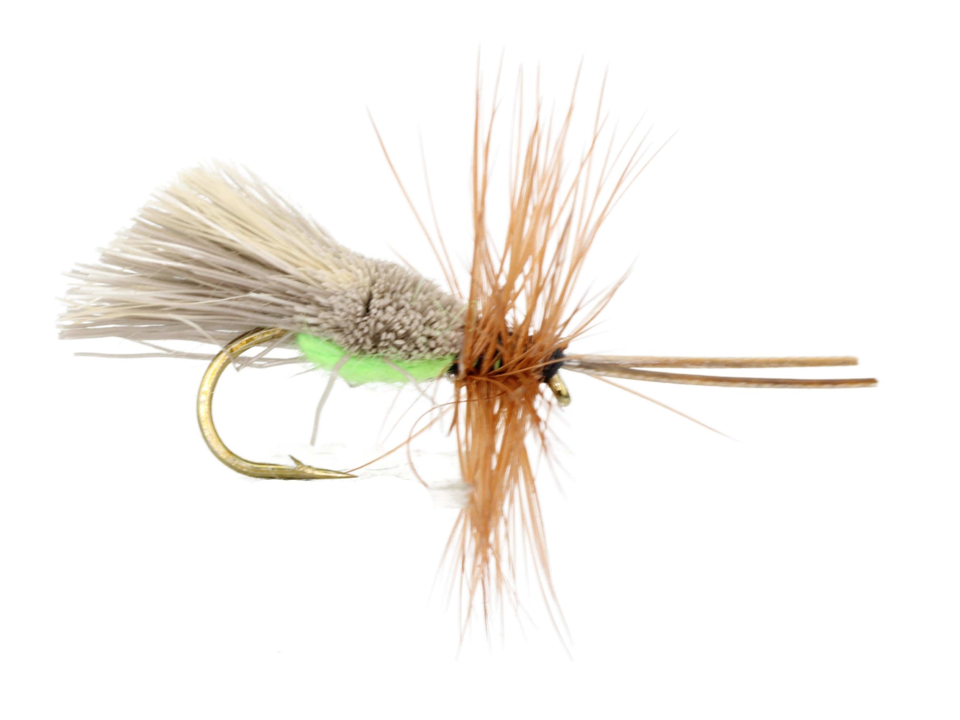 Wild Water Fly Fishing Goddard Caddis with Chartreuse Underside, Size 12, Qty. 6-Goodwynn'sGoodwynn's