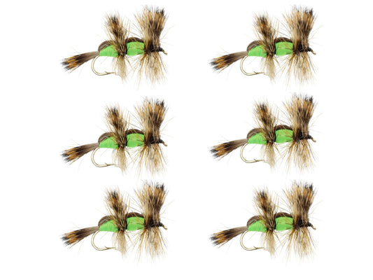 files/GreenDoubleHumpyAmazon.jpg-Goodwynn's