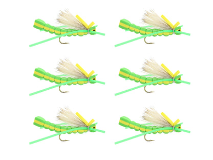 Wild Water Fly Fishing Foam Green Grasshopper, Size 8, Qty. 6