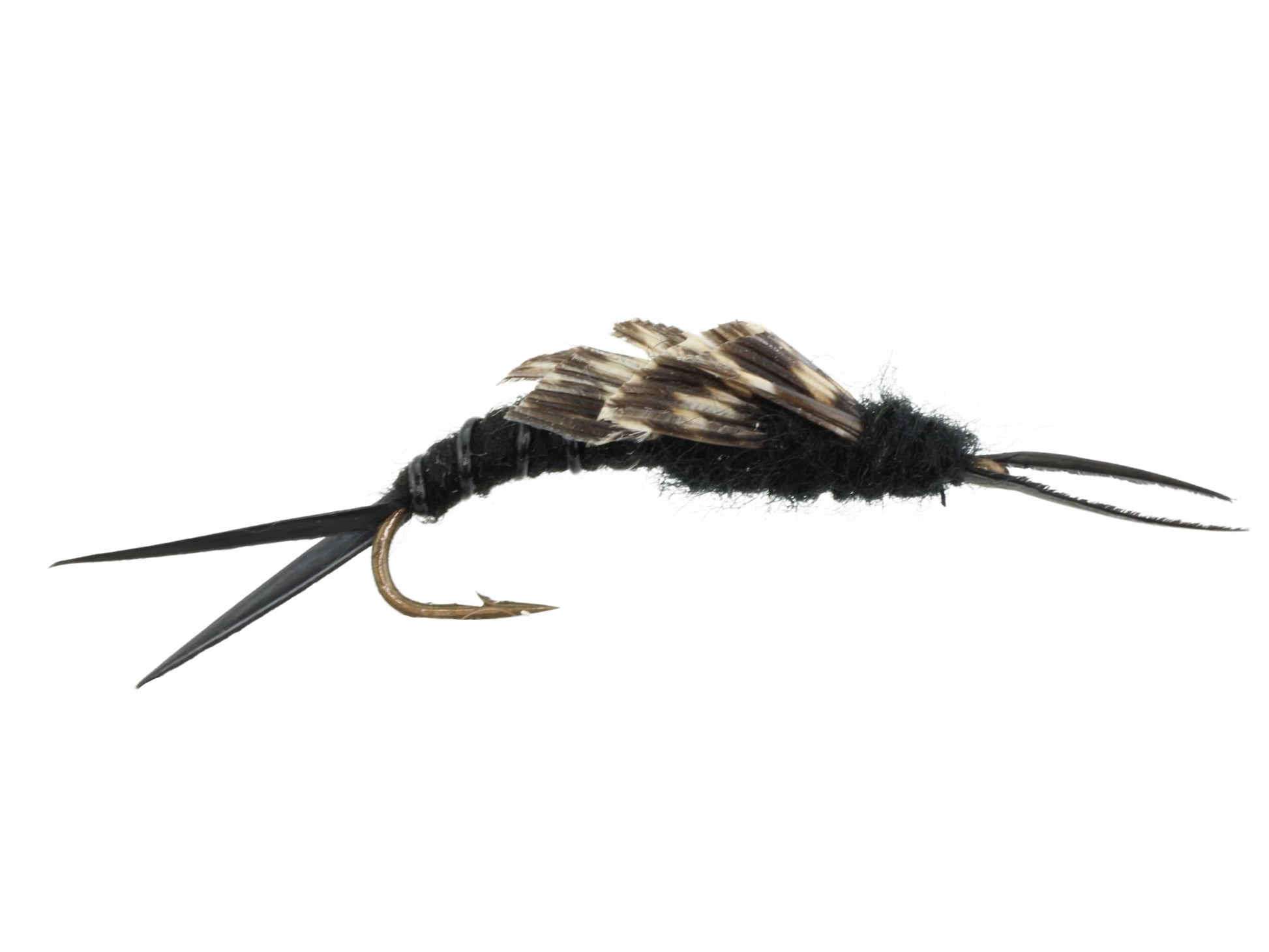 Wild Water Fly Fishing Kaufman Stonefly, Size 8, Qty. 6-Goodwynn'sGoodwynn's