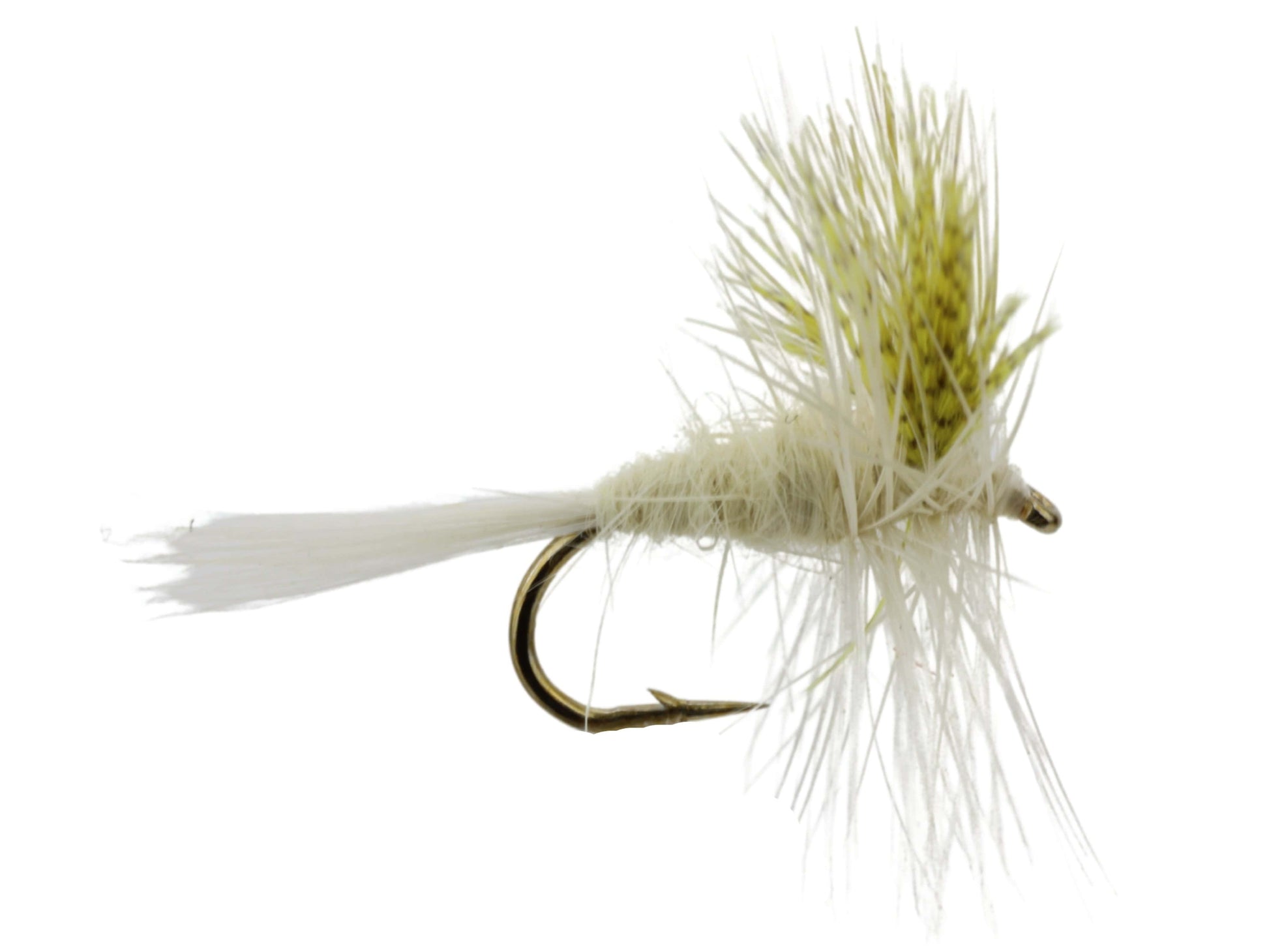 Wild Water Fly Fishing Light Cahill, Size 14, Qty. 6-Goodwynn'sGoodwynn's