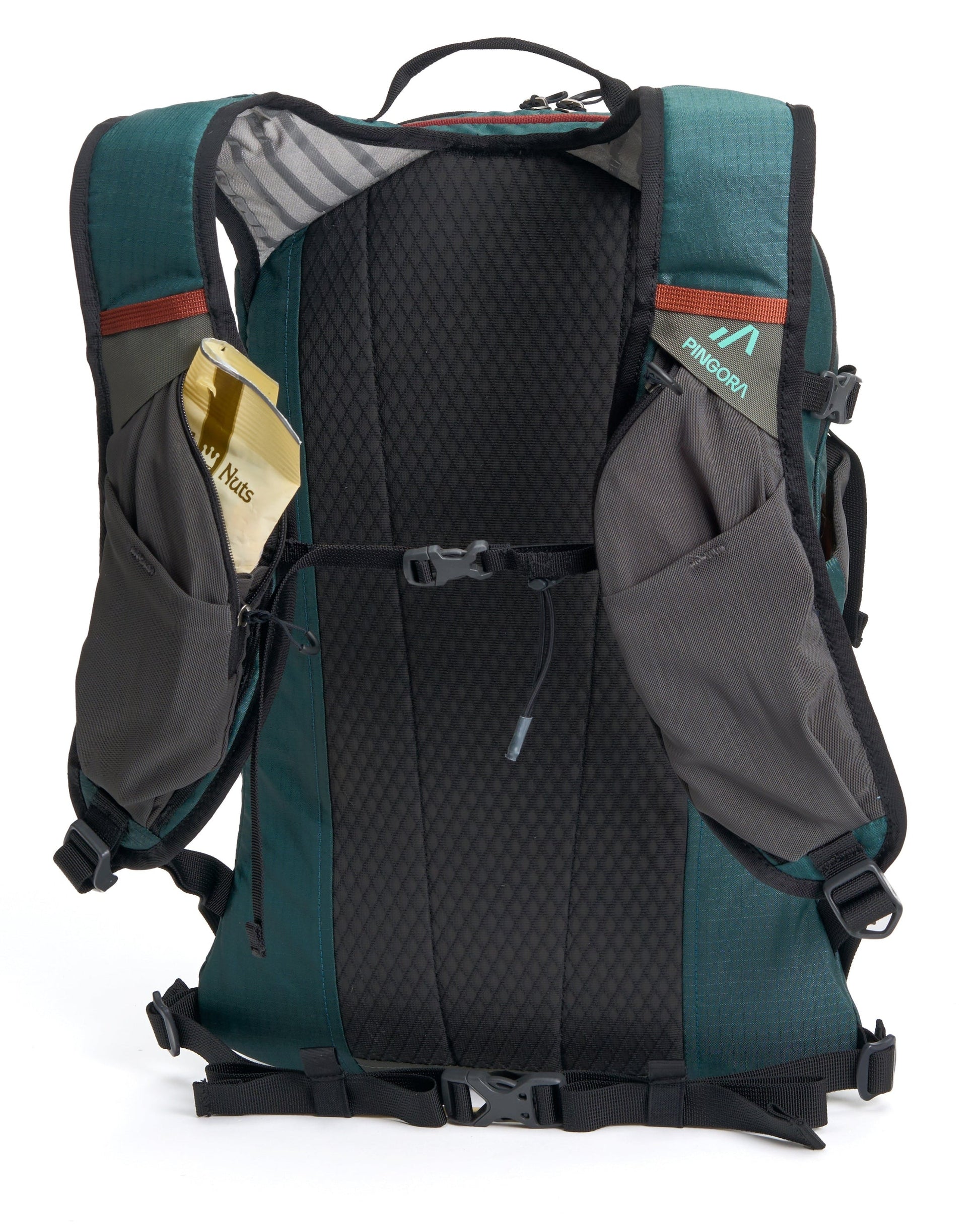 Pingora Lucid 20L Hiking Backpack-Goodwynn'sGoodwynn's
