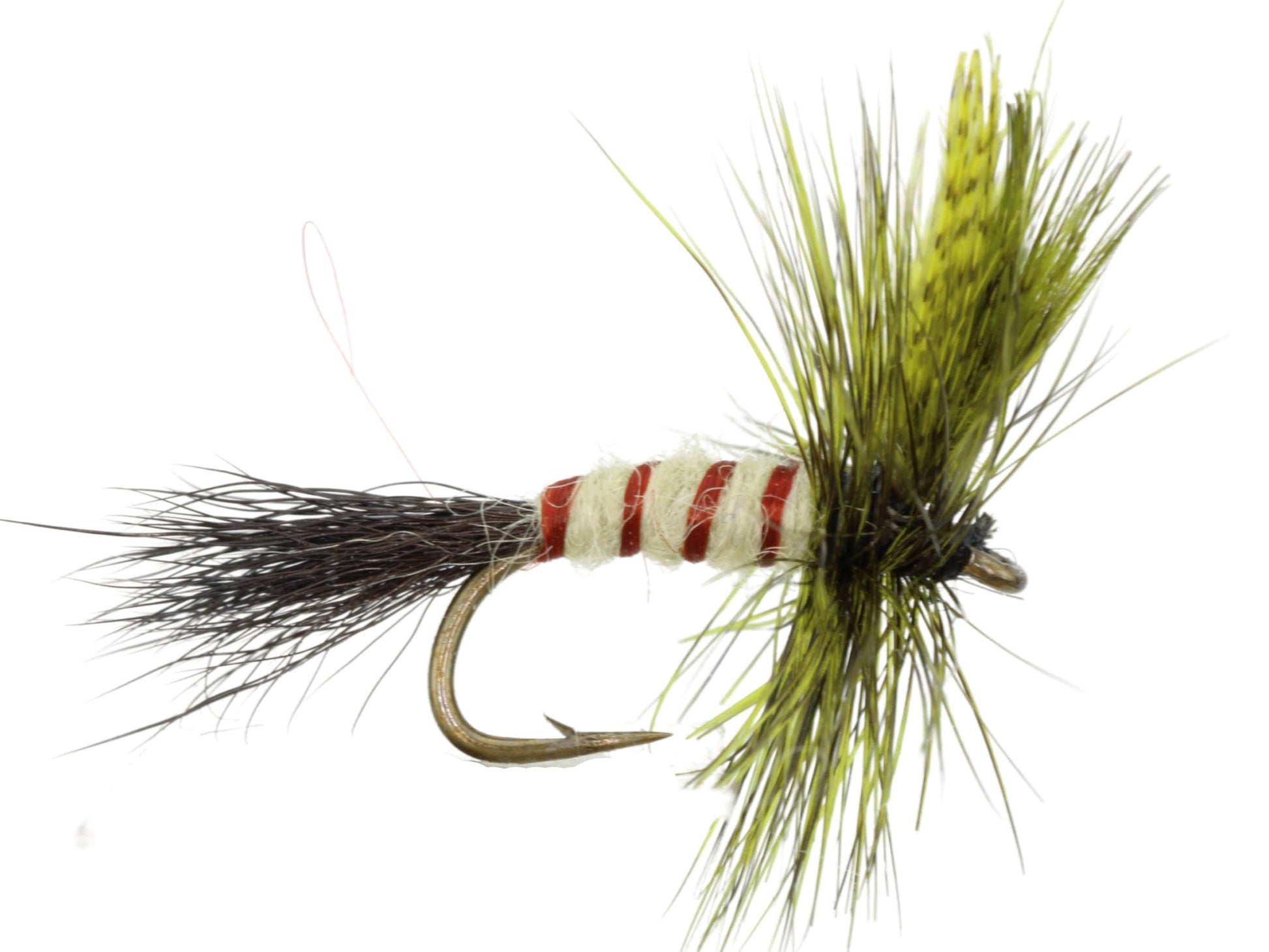 Wild Water Fly Fishing Olive Eastern Drake, Size 12, Qty. 6-Goodwynn'sGoodwynn's