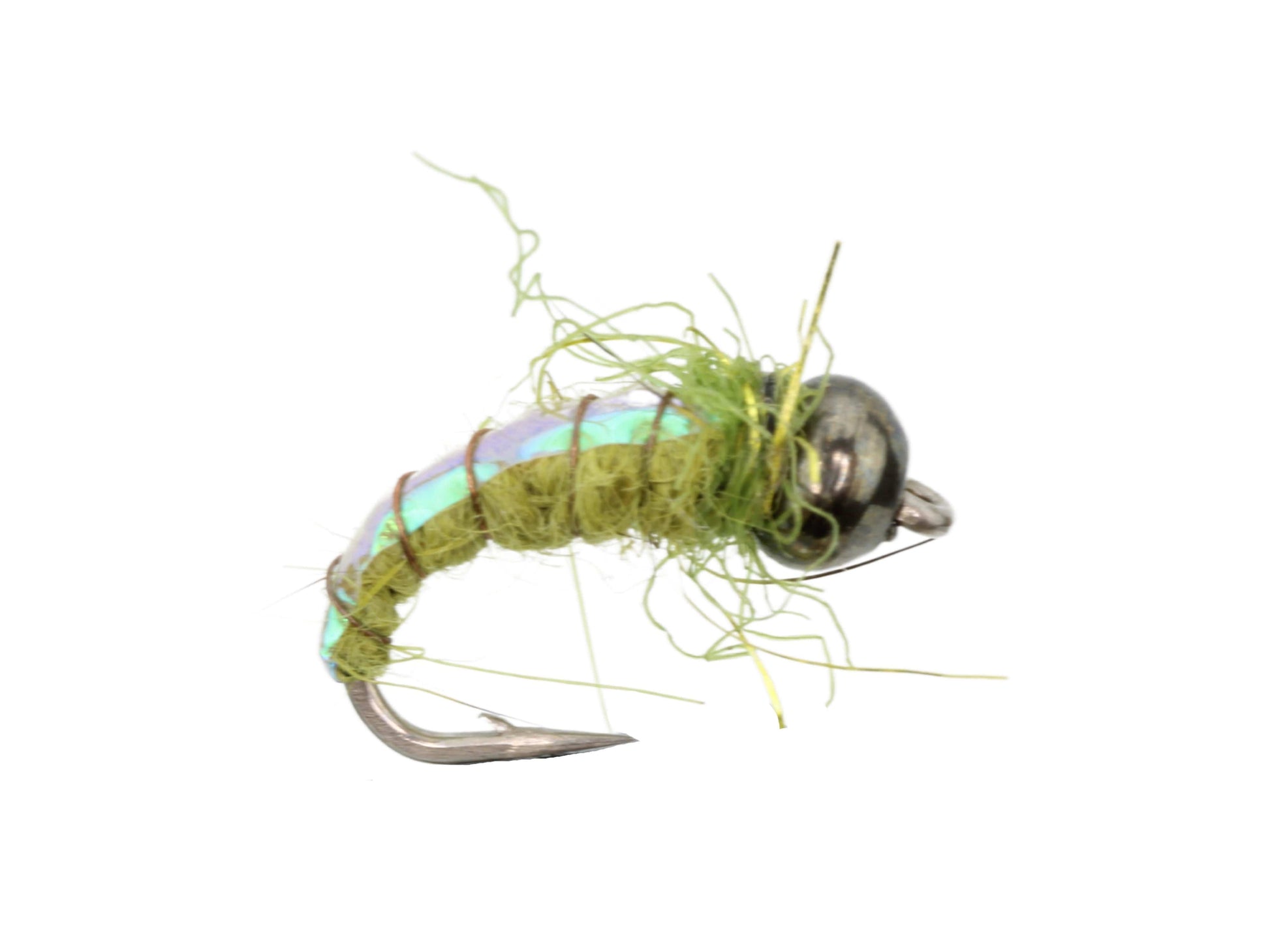Wild Water Fly Fishing Olive Electric Caddis, Size 16, Qty. 6-Goodwynn'sGoodwynn's