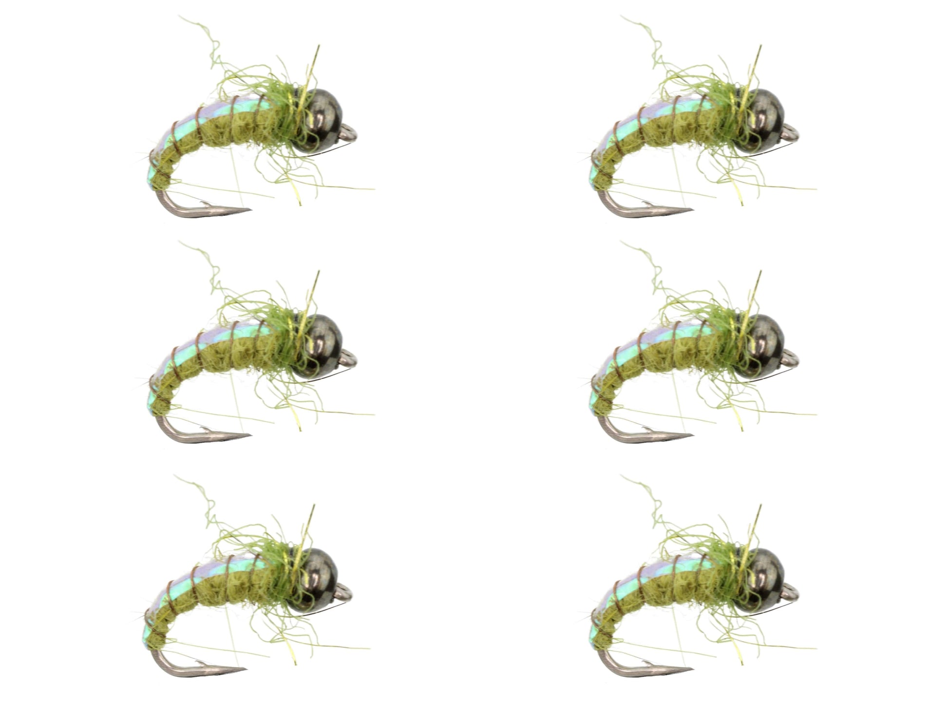 Wild Water Fly Fishing Olive Electric Caddis, Size 16, Qty. 6-Goodwynn'sGoodwynn's
