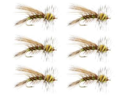 Wild Water Fly Fishing Olive Stimulator, Size 12, Qty. 6