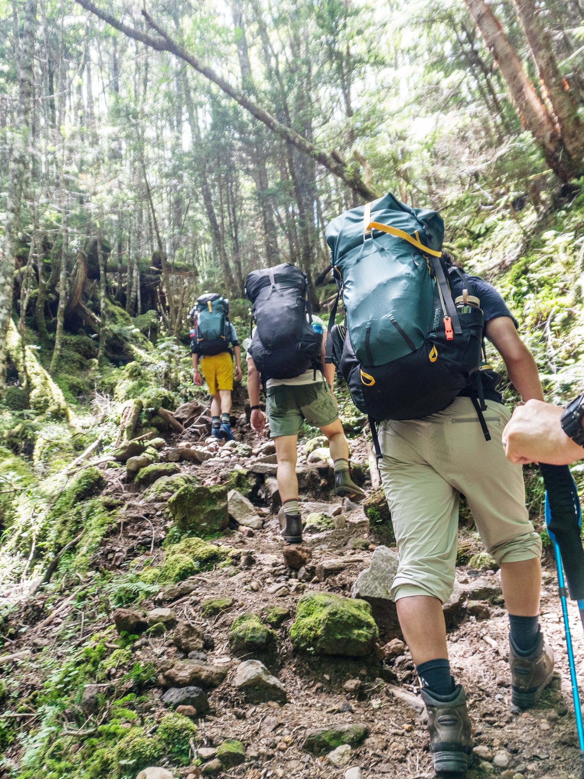 Pingora Outro 55 Backpacking Pack-Goodwynn'sGoodwynn's