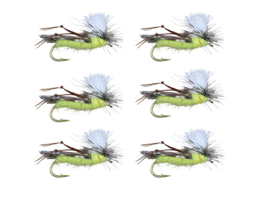files/ParachuteHoppersize10Amazon.jpg-Goodwynn's