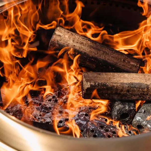 Solo Stove Bundle - Ranger/Bonfire/Yukon/Canyon 2.0 with Stand, Smokeless Fire Pit | Wood Burning Fireplaces with Removable Ash Pan, Portable Outdoor Firepit - Ideal for Camping & Outdoor Spaces, Stainless Steel-Goodwynn'sGoodwynn's