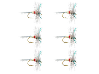 Wild Water Fly Fishing Sherry Spinner, Size 14, Qty. 6