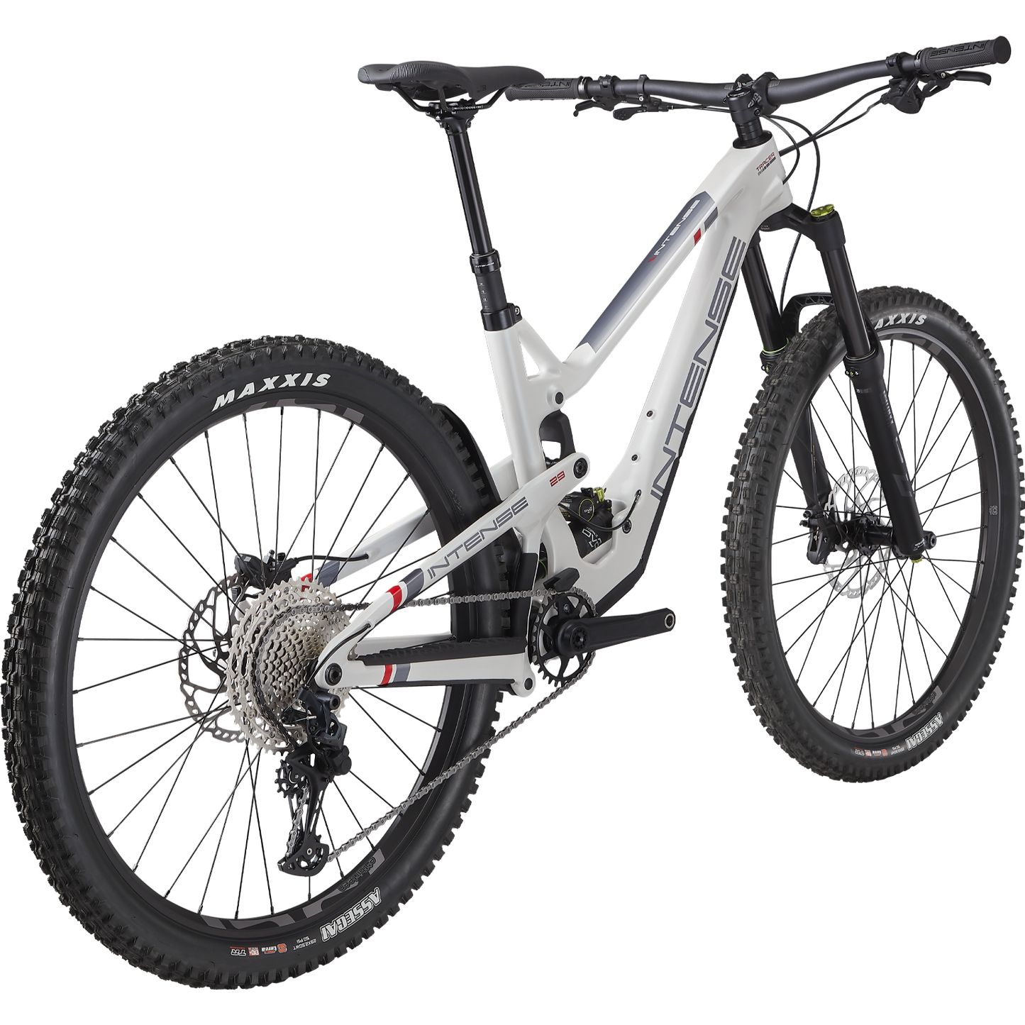 TRACER 29 DVO EXPERT
