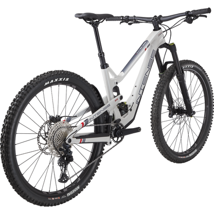 TRACER 29 DVO EXPERT