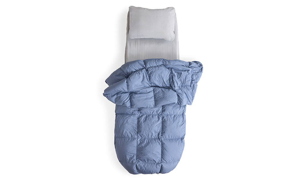 Down Comforter-Goodwynn'sGoodwynn's