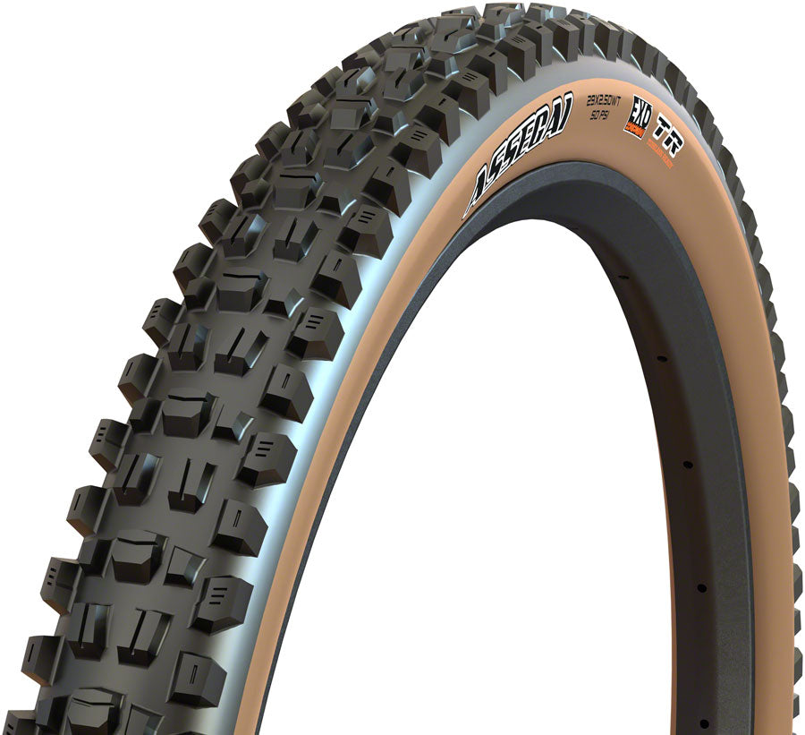Maxxis Assegai Tire - 27.5 x 2.5 Tubeless Folding Black/Tan EXO-Goodwynn'sGoodwynn's