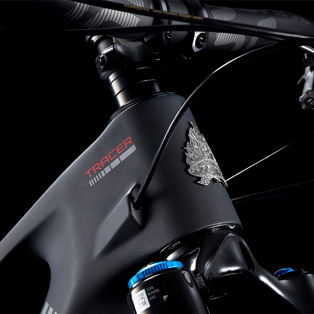 TRACER 29 DVO EXPERT
