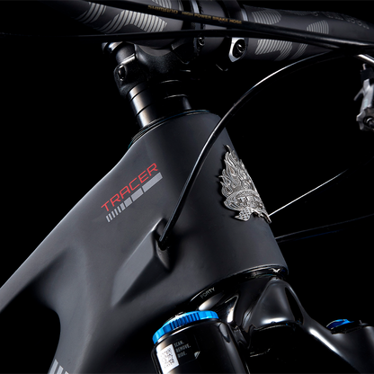 TRACER 29 DVO EXPERT