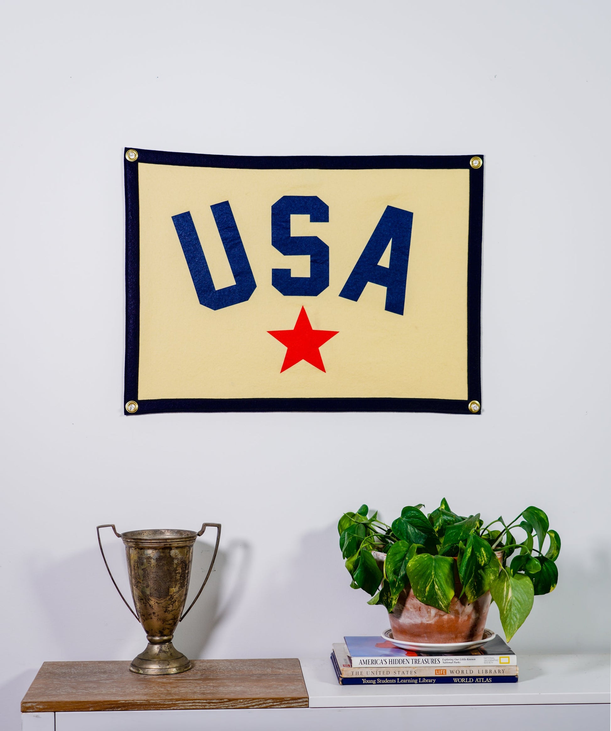 USA Camp Flag-Goodwynn'sGoodwynn's