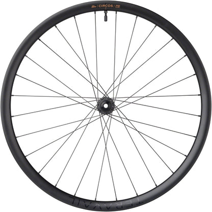 Teravail Circos Gravel Front Wheel - 700 12 x 100mm Center-Lock Carbon DT350
