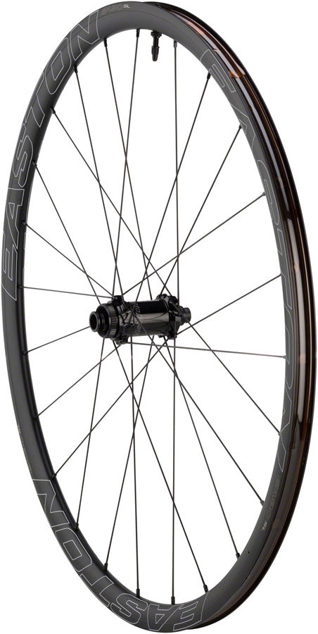 Easton EA90 SL Disc Front Wheel - 700 12/15/QR x 100mm Center-Lock BLK Clincher-Goodwynn&#39;sGoodwynn&#39;s
