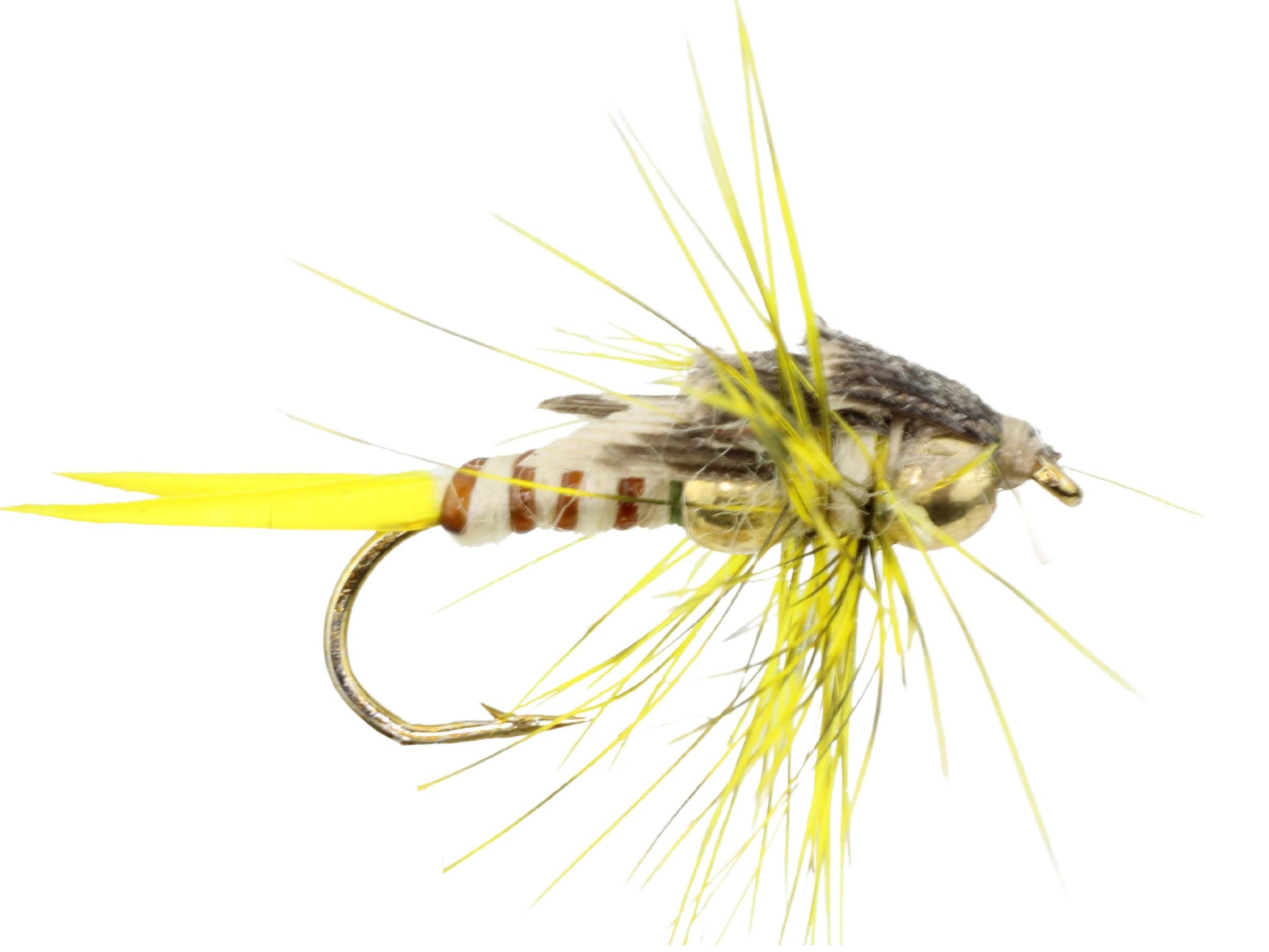 Wild Water Fly Fishing Beaded Yellow Stonefly, size 12, qty. 6-Goodwynn'sGoodwynn's
