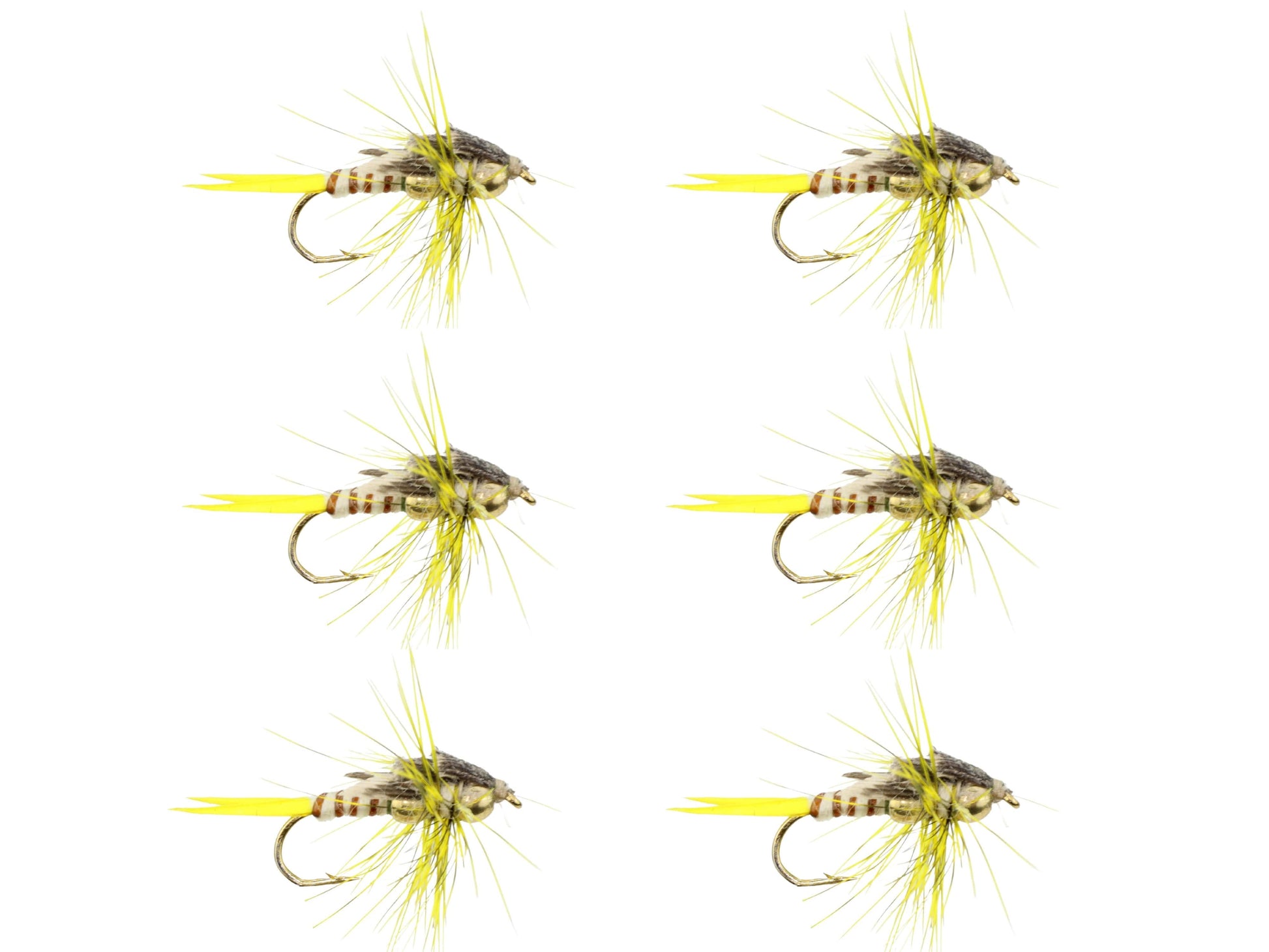 Wild Water Fly Fishing Beaded Yellow Stonefly, size 12, qty. 6-Goodwynn'sGoodwynn's