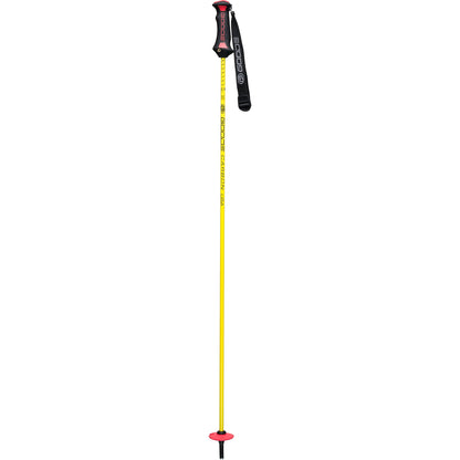 Pure Carbon Ski Poles