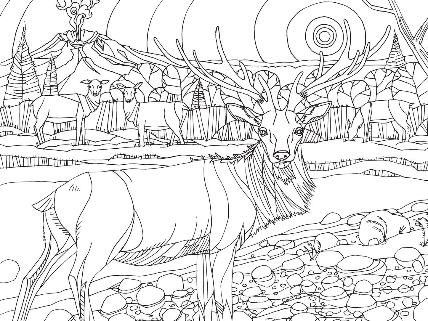 Mountaineers Books - Pacific Northwest Nature Coloring Book