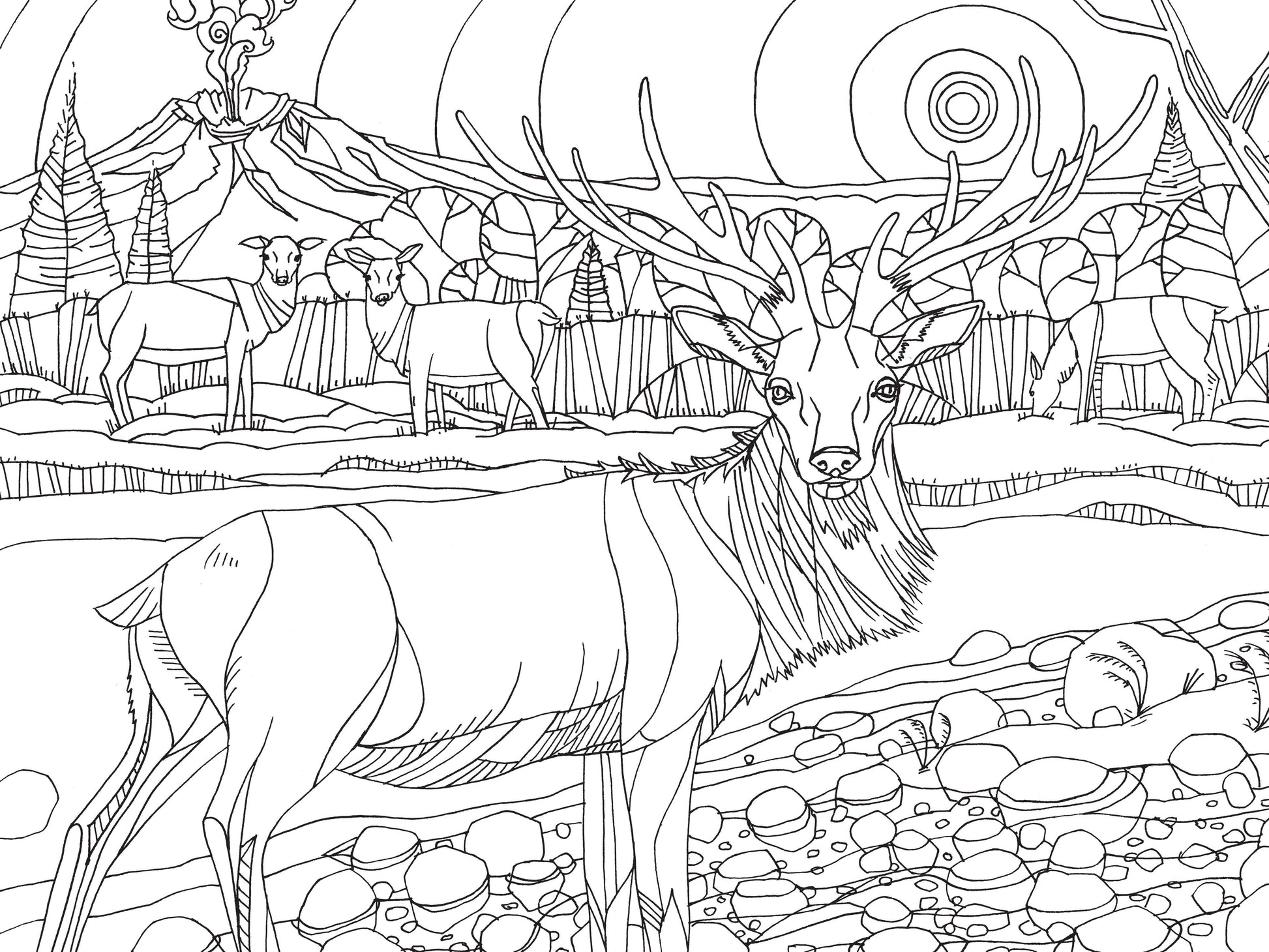 Mountaineers Books - Pacific Northwest Nature Coloring Book-Goodwynn'sGoodwynn's