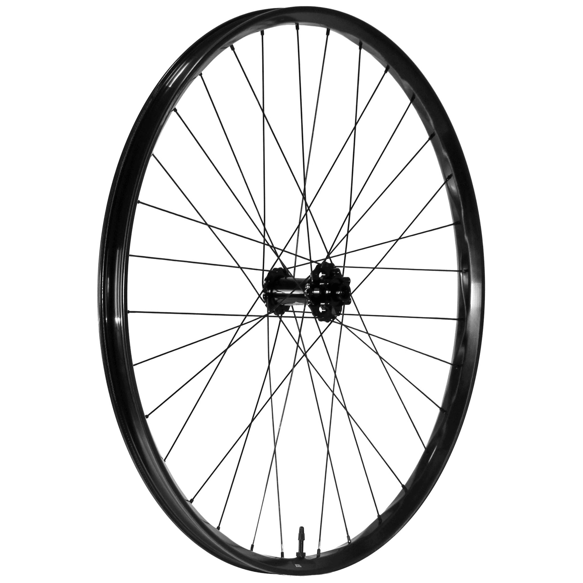 We Are One Deal 29" Front Wheel 15x110 Black-Goodwynn'sGoodwynn's