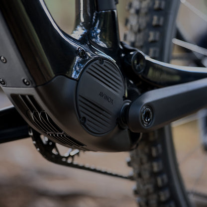 Amflow PL Carbon