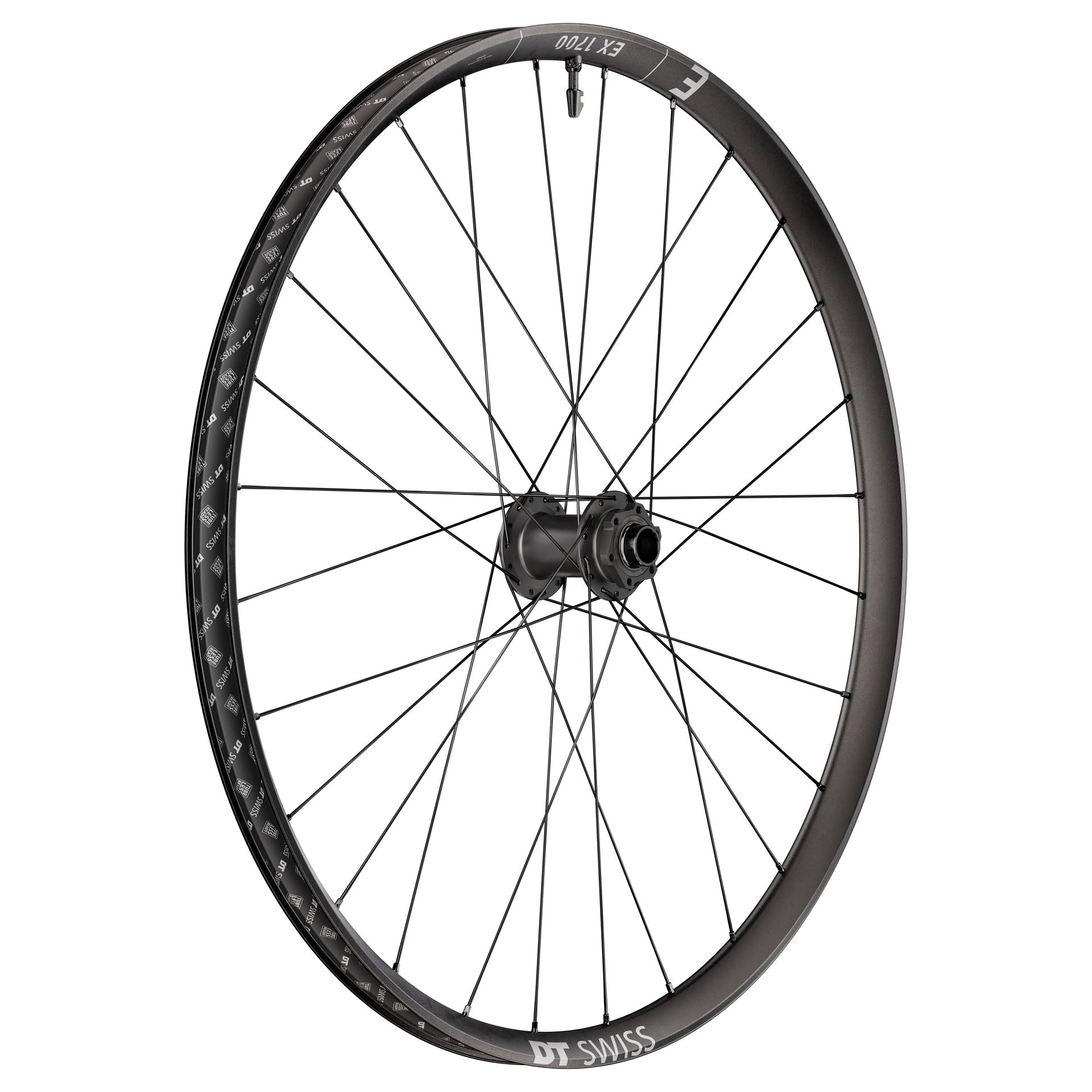 DT Swiss EX 1700 Classic Front Wheel 29" 20x110 Boost-Goodwynn'sGoodwynn's