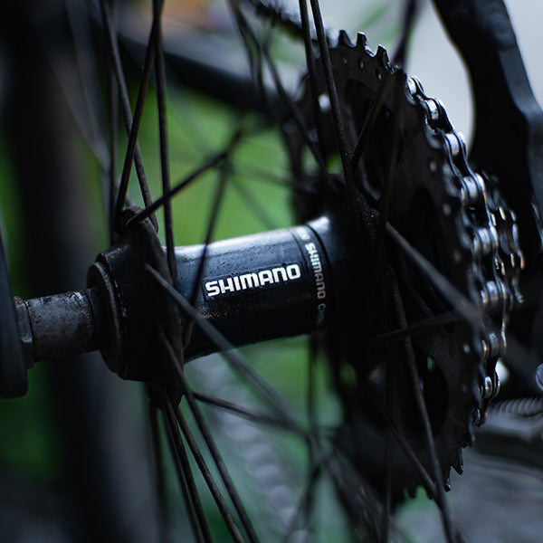 Bike Wheel Build Goodwynn's