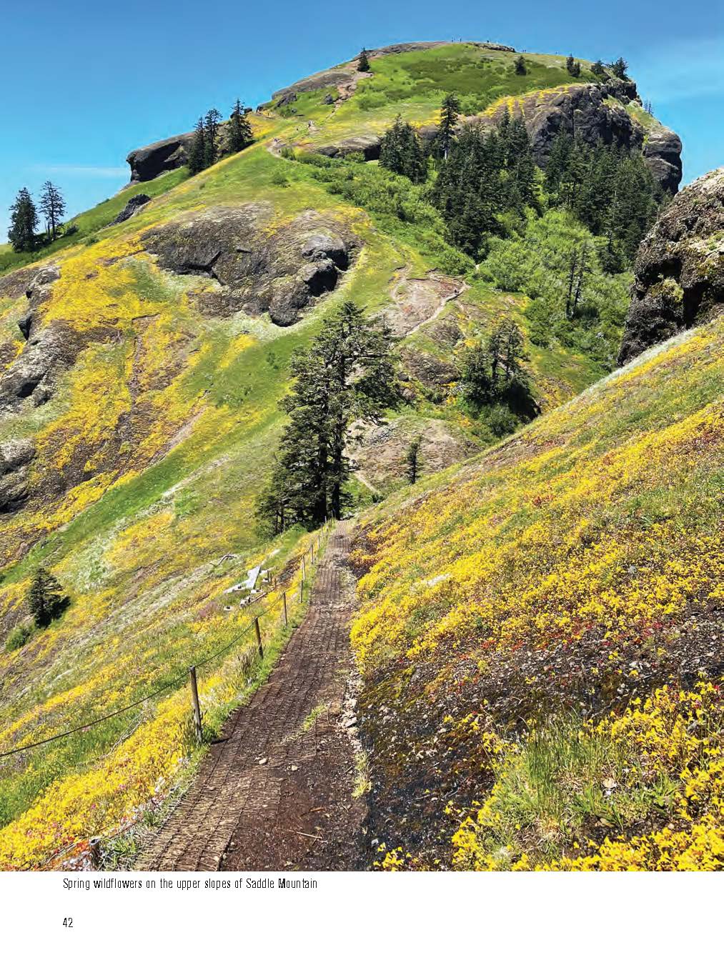 Mountaineers Books - 100 Classic Hikes: Oregon-Goodwynn'sGoodwynn's