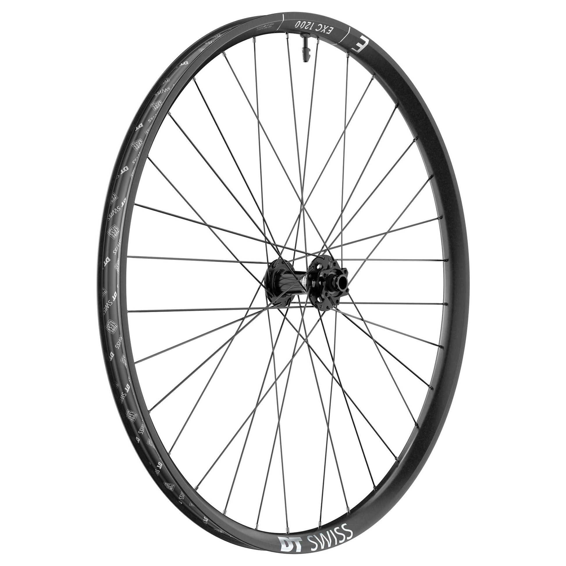 DT Swiss EXC 1200 Classic Front Wheel - 29" 15 x 110mm 6-Bolt Black-Goodwynn'sGoodwynn's