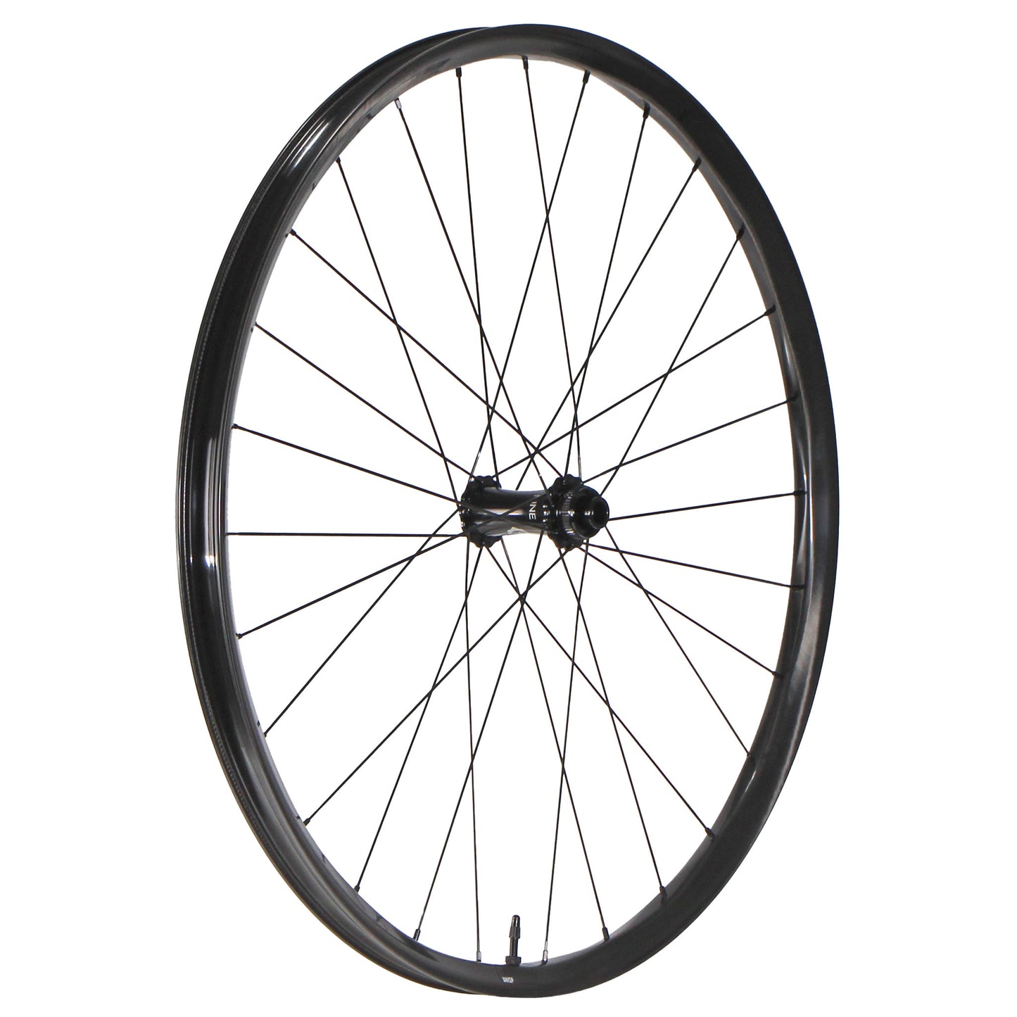 We Are One Whisp 29" Front Wheel 15x110 Black