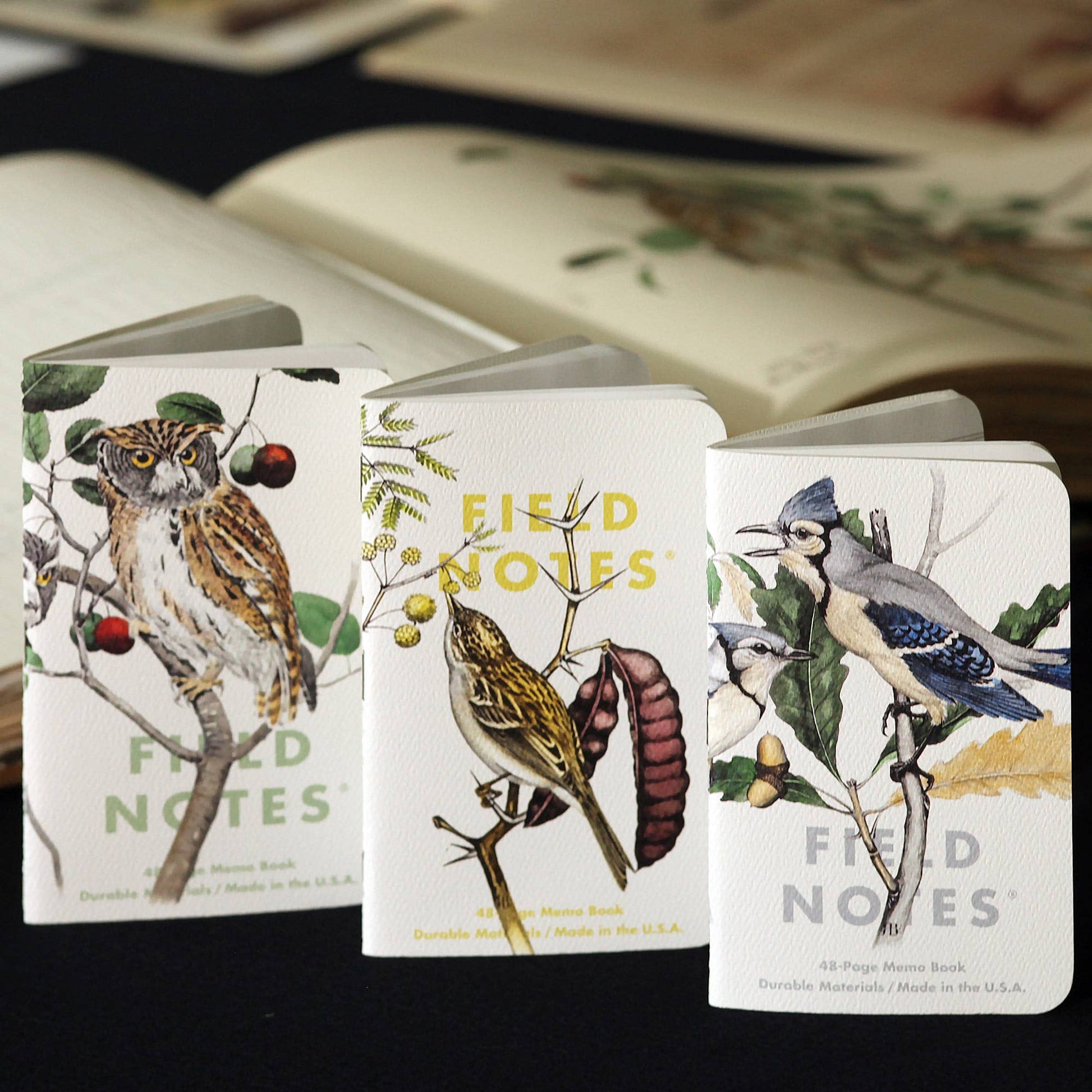 Field Notes - Birds and Trees of North America-Goodwynn'sGoodwynn's