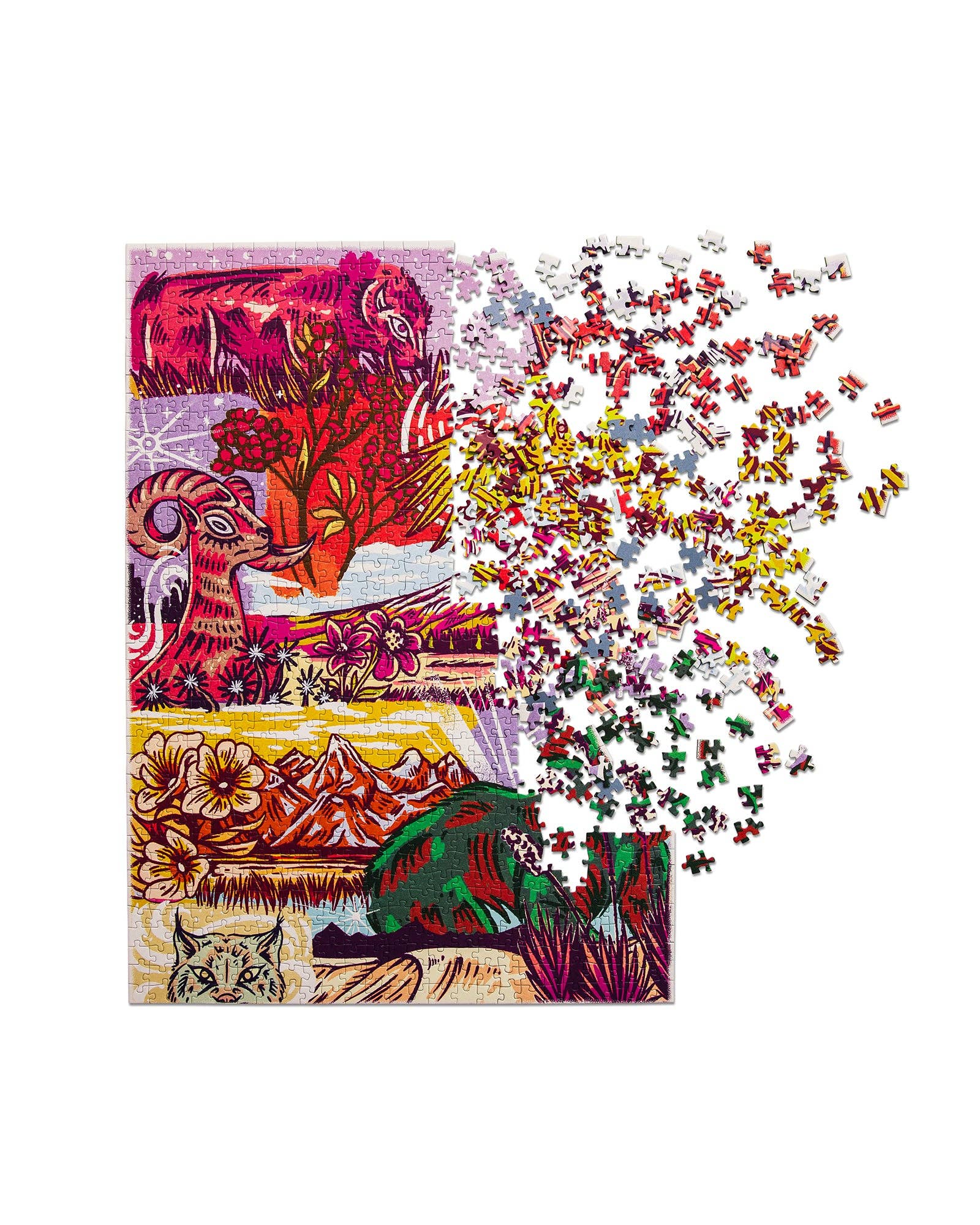 Parks Project - National Park Naturalist 1000pc Puzzle-Goodwynn'sGoodwynn's